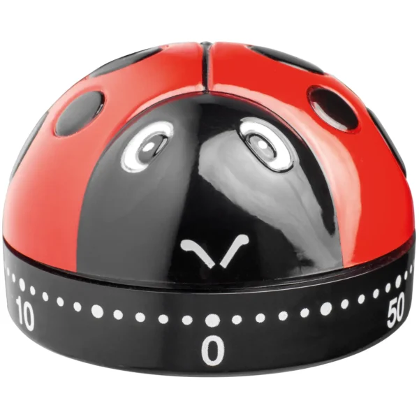 Judge Ladybird Timer