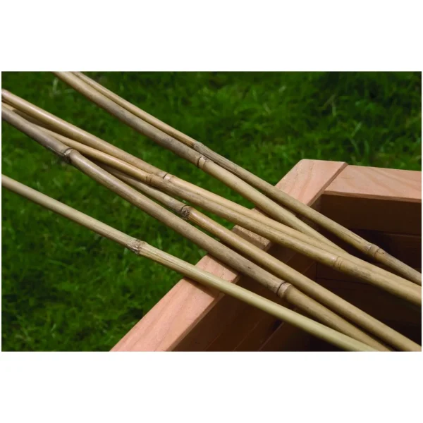 RAP0024 Bamboo Canes 2.4m Pack of 10