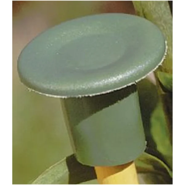 RAP0182 Bamboo End Protectors pk6