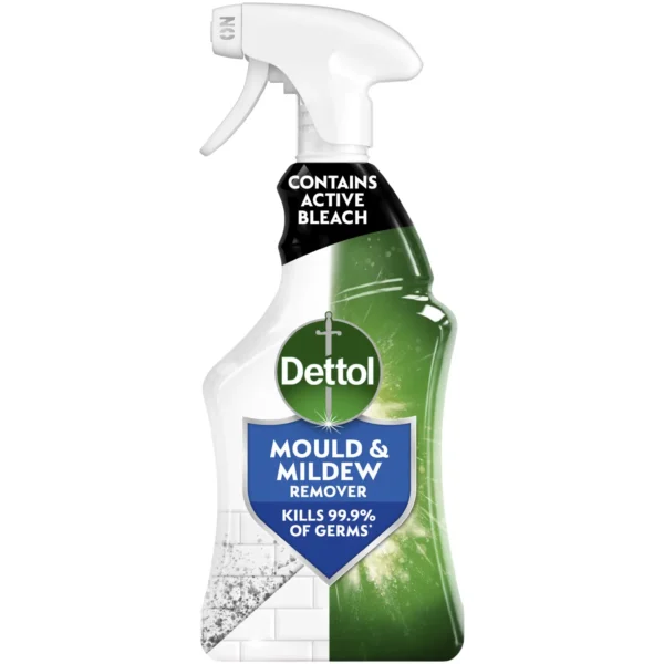 Dettol Mould & Mildew 750ml