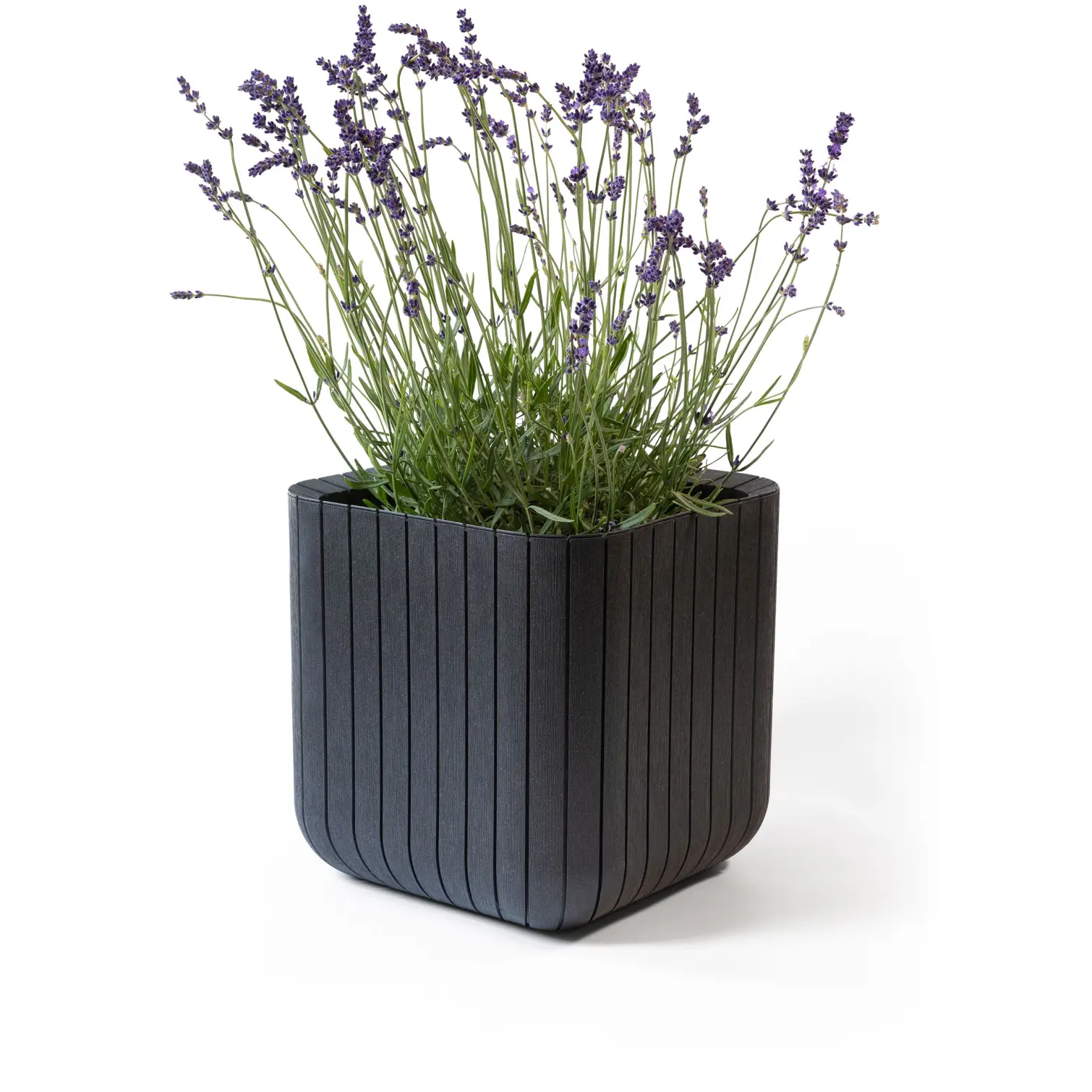 Keter Cube Planter 21.5 litre anthracite garden planter