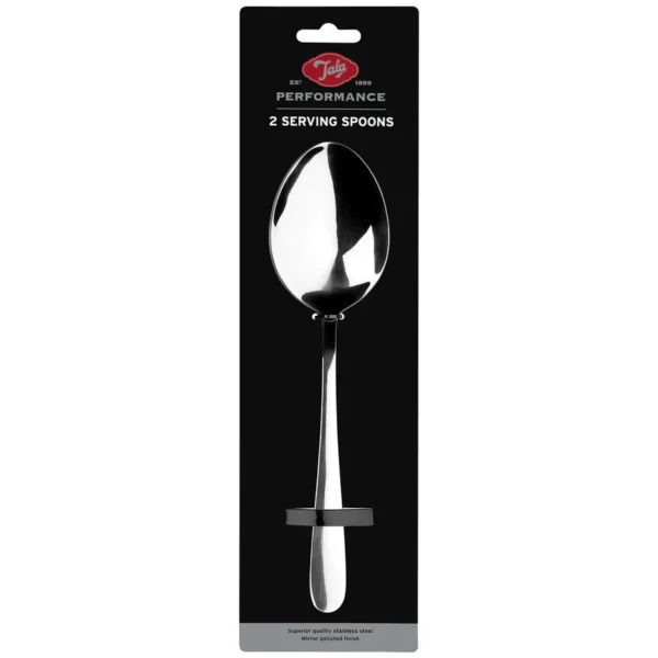 Stainless Steel Serving Spoons Set of 2