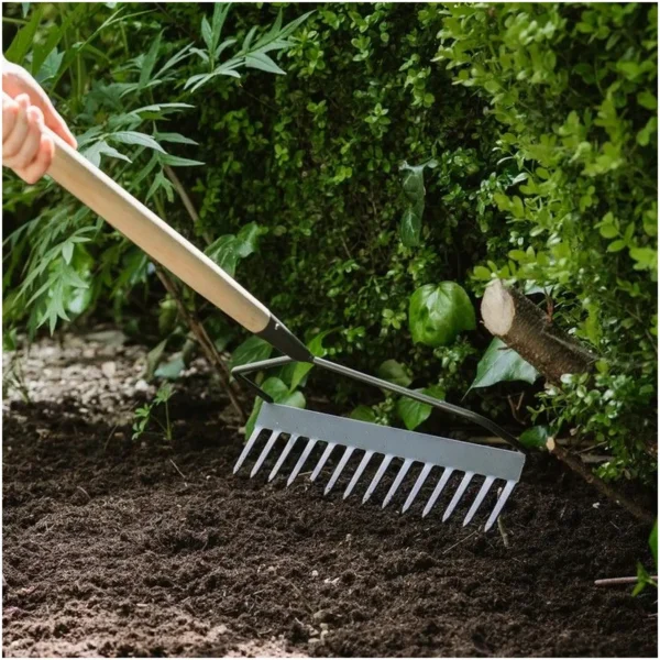 Person using a garden rake to loosen soil among green shrubs and soil.