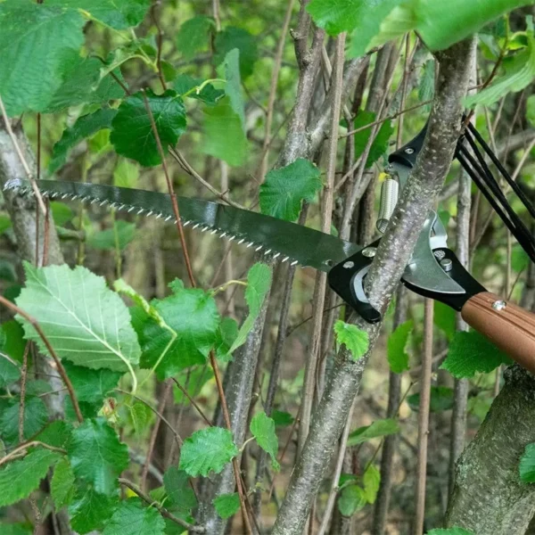 Close-up of a pruning saw cutting a small branch on a leafy shrub, with green leaves in view.