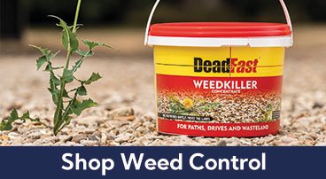 Bucket of DeadFast WeedKiller on dry soil beside a small weed, with a dark blue banner reading 'Shop Weed Control' at the bottom.